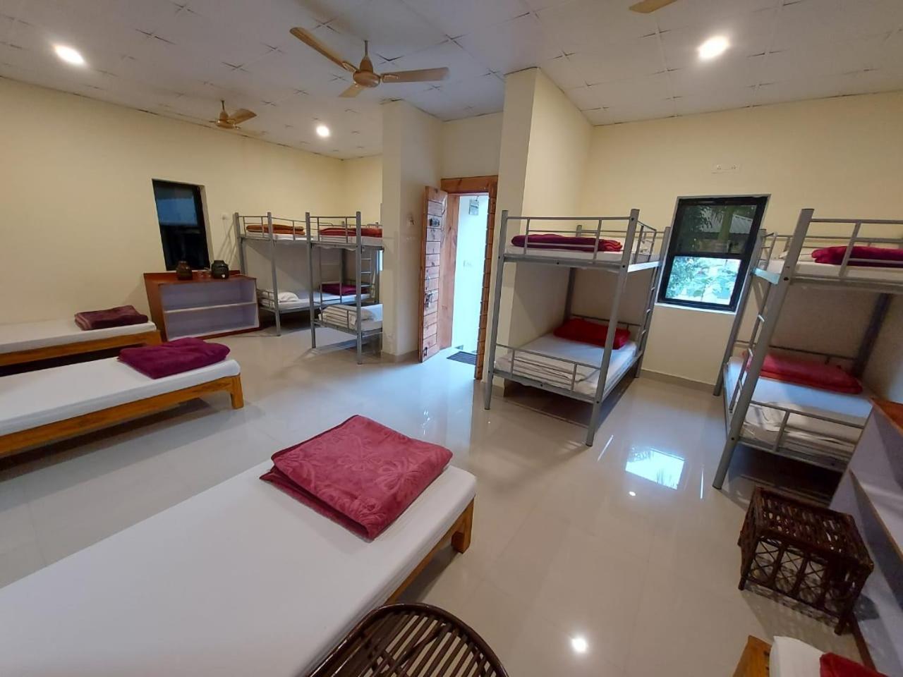 Tadoba Tiger Valley Resort Tadoba Mohurli Exterior foto